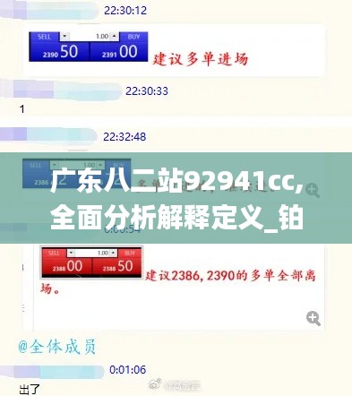 广东八二站92941cc,全面分析解释定义_铂金版3.779