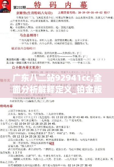 广东八二站92941cc,全面分析解释定义_铂金版3.779