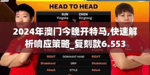 2024年澳门今晚开特马,快速解析响应策略_复刻款6.553