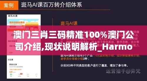 澳门三肖三码精准100%澳门公司介绍,现状说明解析_HarmonyOS9.595