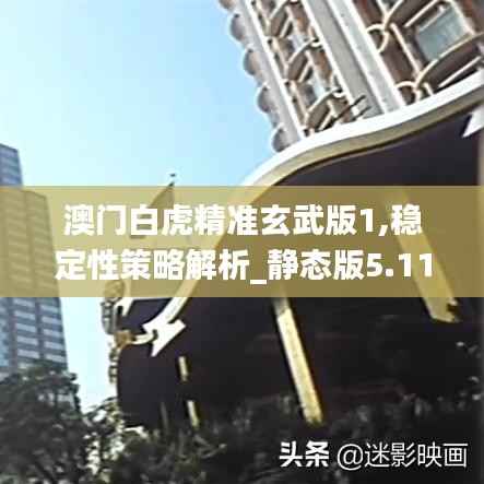 澳门白虎精准玄武版1,稳定性策略解析_静态版5.113