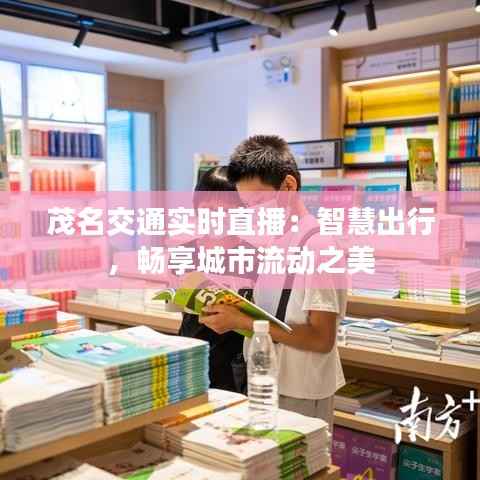 茂名交通实时直播：智慧出行，畅享城市流动之美