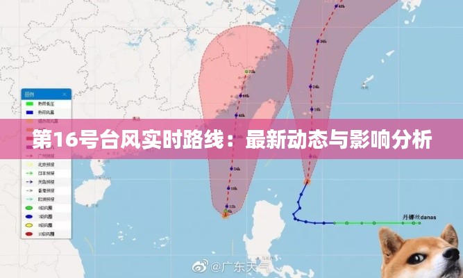 第16号台风实时路线：最新动态与影响分析