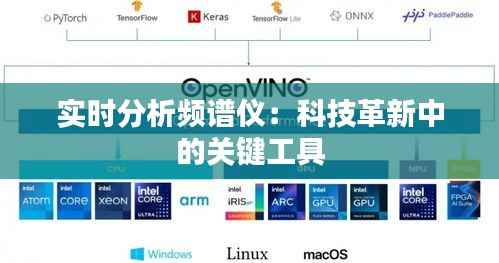 实时分析频谱仪:科技革新中的关键工具