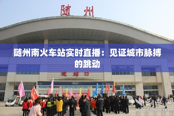 随州南火车站实时直播：见证城市脉搏的跳动