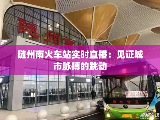 随州南火车站实时直播:见证城市脉搏的跳动