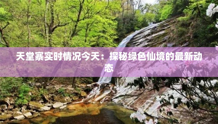 天堂寨实时情况今天:探秘绿色仙境的最新动态