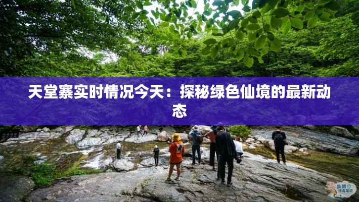 天堂寨实时情况今天:探秘绿色仙境的最新动态
