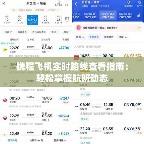 携程飞机实时路线查看指南:轻松掌握航班动态
