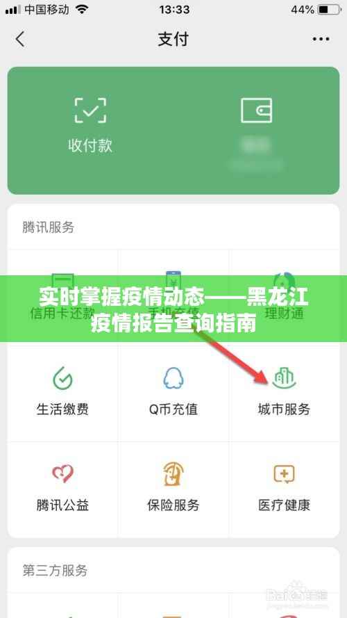 实时掌握疫情动态——黑龙江疫情报告查询指南