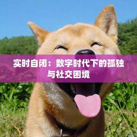 实时自闭:数字时代下的孤独与社交困境