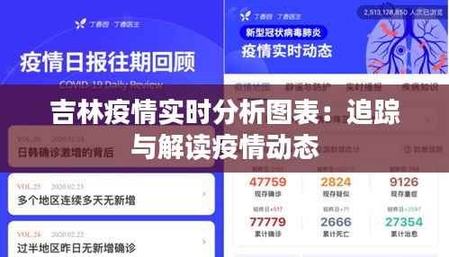 吉林疫情实时分析图表：追踪与解读疫情动态