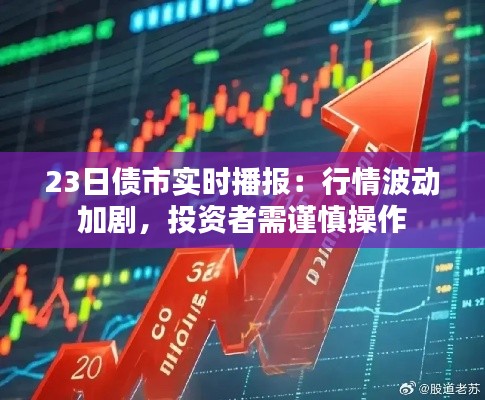 23日债市实时播报:行情波动加剧,投资者需谨慎操作