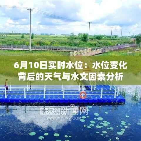 6月10日实时水位:水位变化背后的天气与水文因素分析