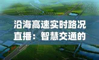 沿海高速实时路况直播:智慧交通的未来趋势