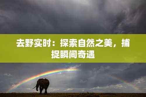 去野实时:探索自然之美,捕捉瞬间奇遇