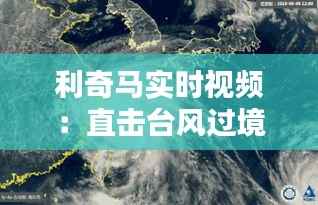 利奇马实时视频:直击台风过境的惊心动魄瞬间