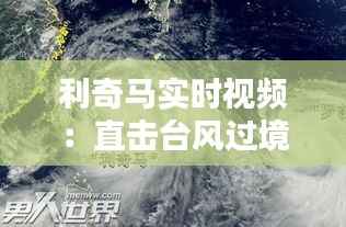 利奇马实时视频:直击台风过境的惊心动魄瞬间