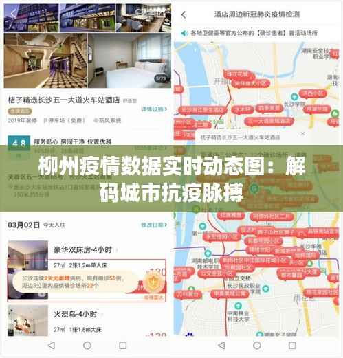 柳州疫情数据实时动态图:解码城市抗疫脉搏