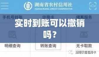 实时到账可以撤销吗?