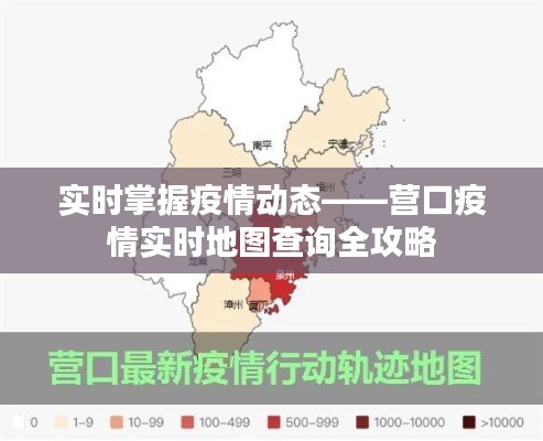 实时掌握疫情动态——营口疫情实时地图查询全攻略