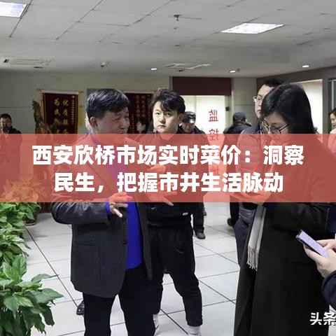 西安欣桥市场实时菜价：洞察民生，把握市井生活脉动