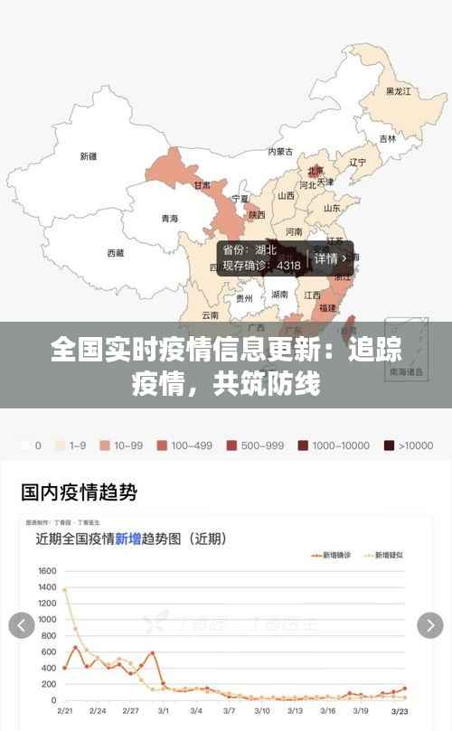全国实时疫情信息更新:追踪疫情,共筑防线