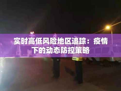 实时高低风险地区追踪:疫情下的动态防控策略