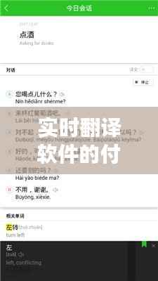 实时翻译软件的付费之谜:揭秘其使用成本与价值