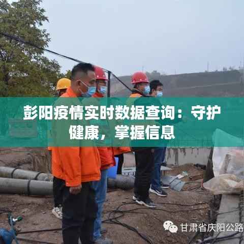 彭阳疫情实时数据查询:守护健康,掌握信息
