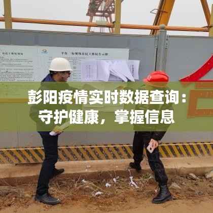 彭阳疫情实时数据查询:守护健康,掌握信息