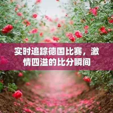 业业兢兢 第6页