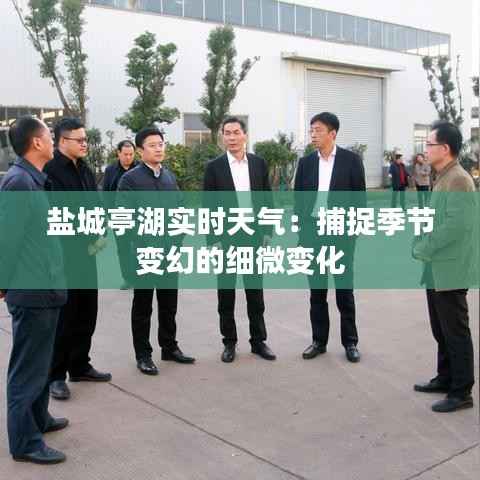 盐城亭湖实时天气：捕捉季节变幻的细微变化