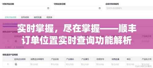 实时掌握,尽在掌握——顺丰订单位置实时查询功能解析