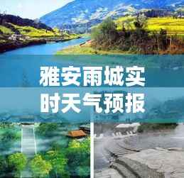 雅安雨城实时天气预报:细雨润物,诗意盎然