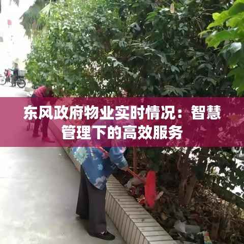 东风政府物业实时情况:智慧管理下的高效服务