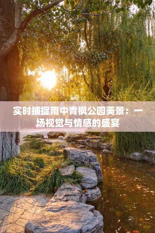 实时捕捉雨中青枫公园美景:一场视觉与情感的盛宴