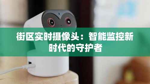 街区实时摄像头:智能监控新时代的守护者