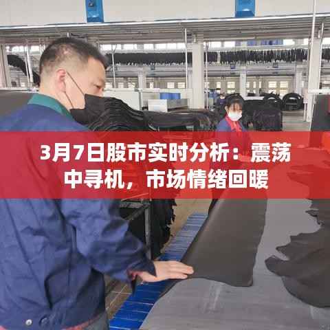 3月7日股市实时分析：震荡中寻机，市场情绪回暖