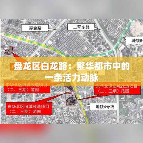 盘龙区白龙路:繁华都市中的一条活力动脉