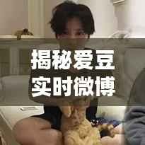 揭秘爱豆实时微博号:如何轻松追踪偶像动态