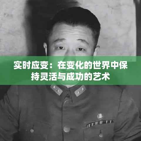 实时应变:在变化的世界中保持灵活与成功的艺术