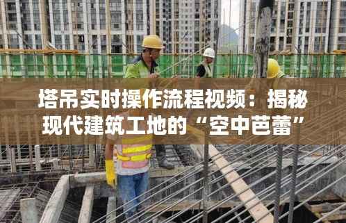 塔吊实时操作流程视频:揭秘现代建筑工地的“空中芭蕾”