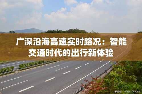 广深沿海高速实时路况:智能交通时代的出行新体验