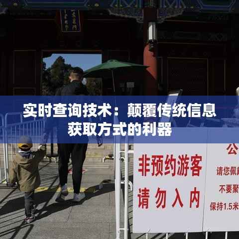 实时查询技术:颠覆传统信息获取方式的利器