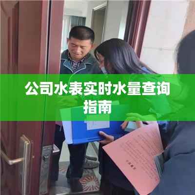 公司水表实时水量查询指南