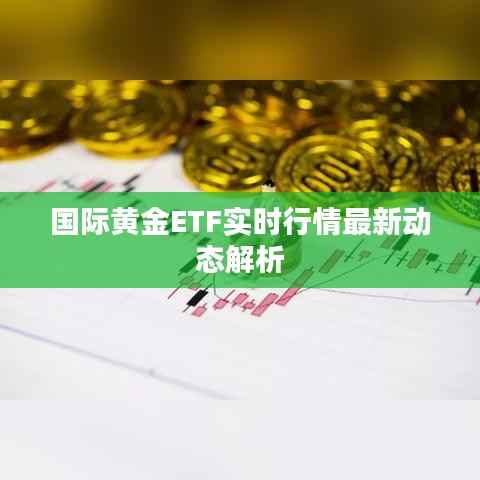 国际黄金ETF实时行情最新动态解析