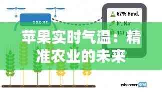 苹果实时气温:精准农业的未来