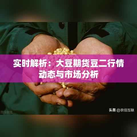 实时解析：大豆期货豆二行情动态与市场分析