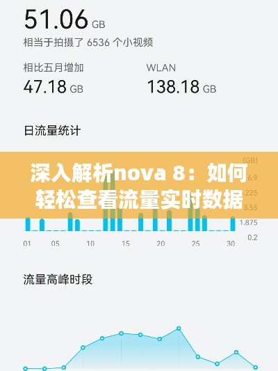 深入解析nova 8:如何轻松查看流量实时数据